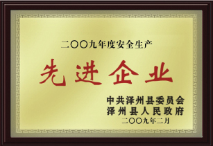 先進(jìn)企業(yè) 先進(jìn)企業(yè)